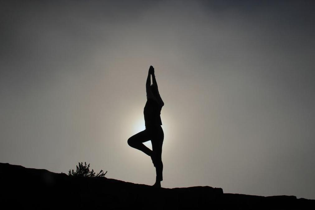 Master the Perfect Vinyasa Downward Dog in Yoga: A Step-by-Step Guide